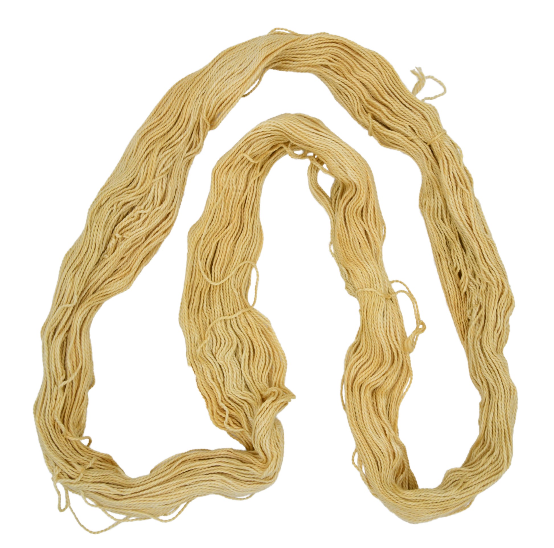 Zen Garden yarn shown spread out in a flat lay — DK weight 2-ply cotton yarn in a calm, soft yellow hue with delicate hand-dyed variation and smooth 2 ply twist 